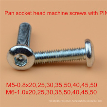 Pin Screw Safety Screw